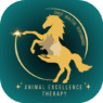 Animal Excellence Therapy